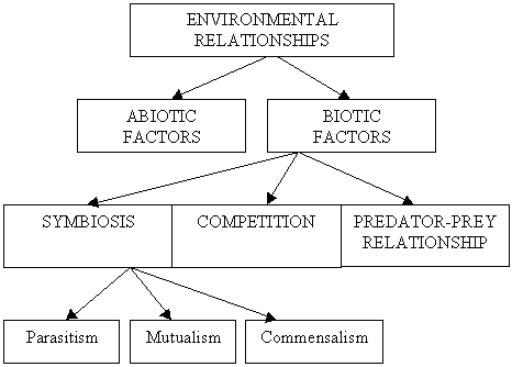 Relationships in the Environment Diagram